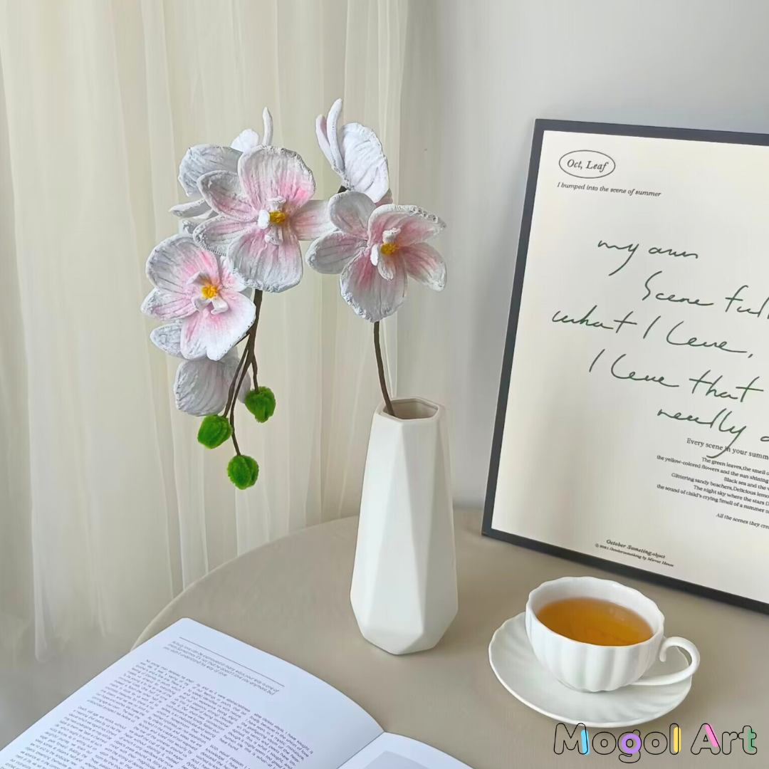 Phalaenopsis