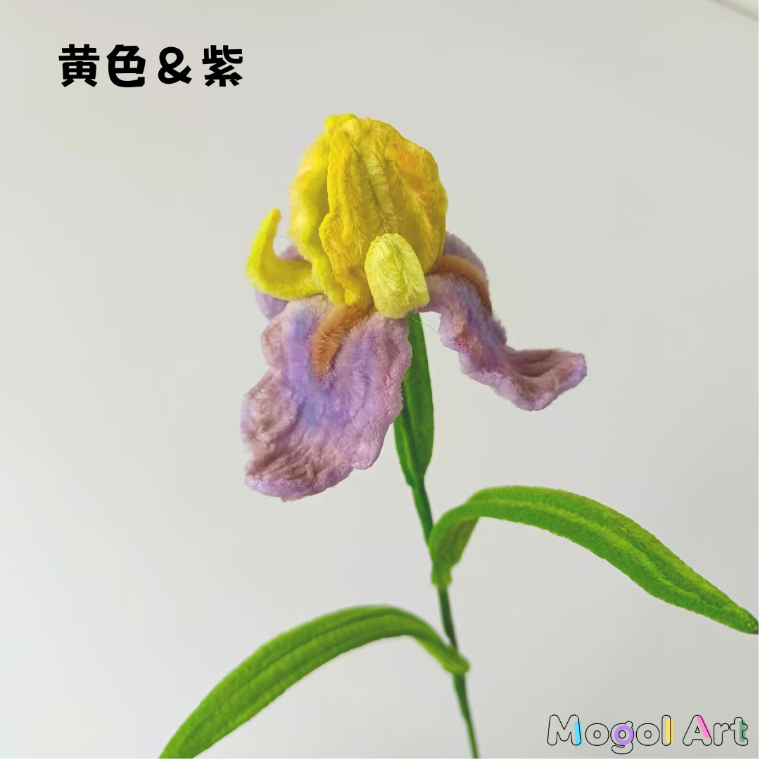 iris