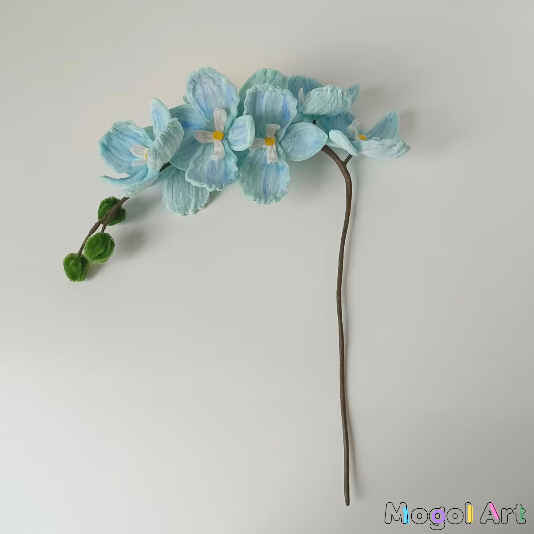 Phalaenopsis