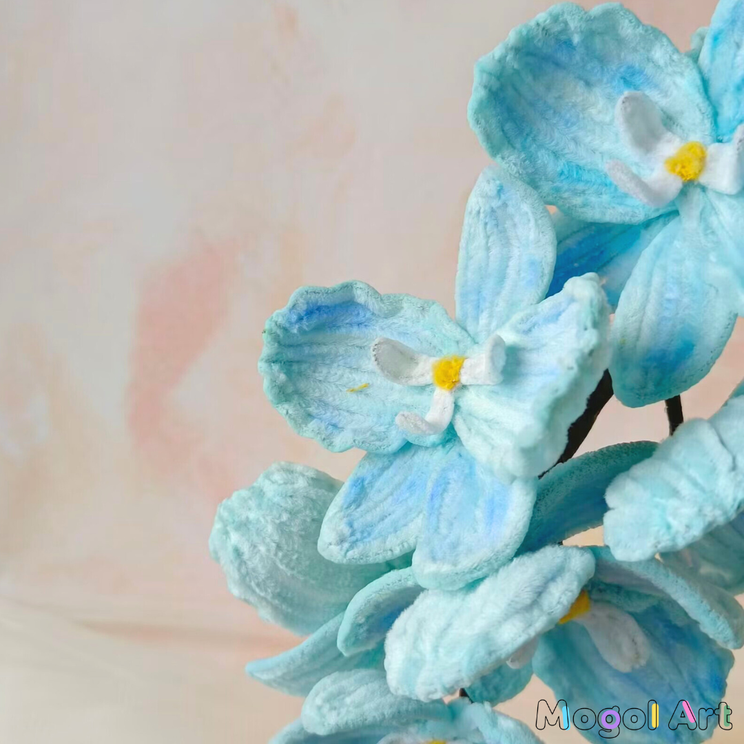 Phalaenopsis