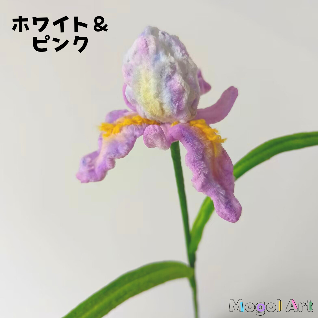 iris