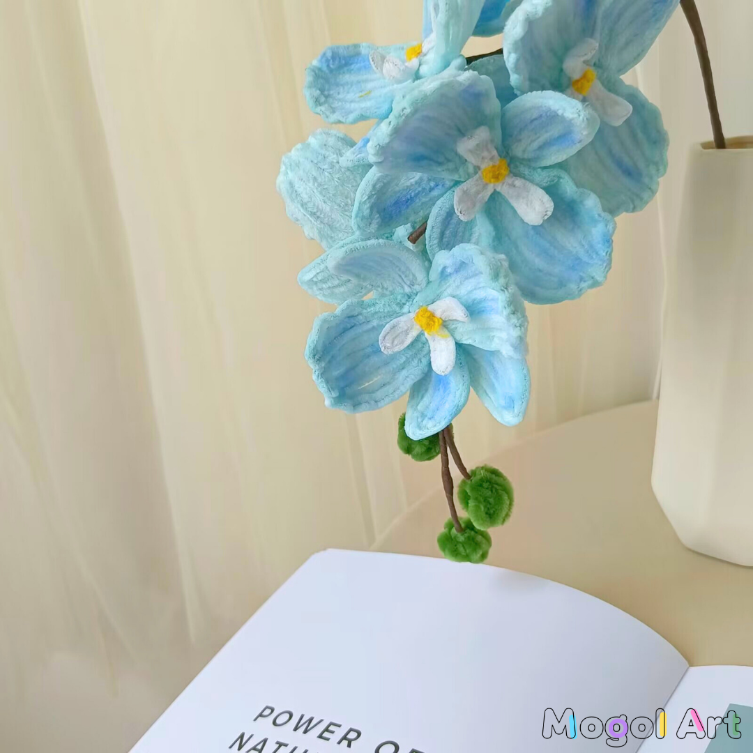 Phalaenopsis