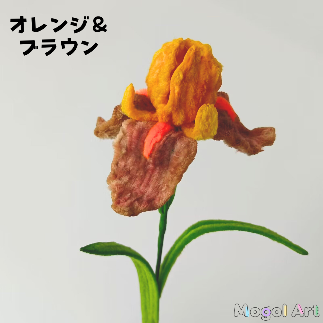 iris