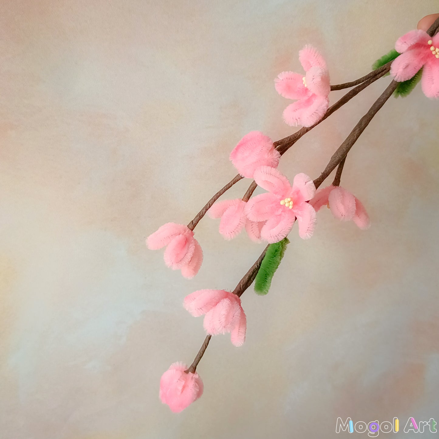 Peach Blossom