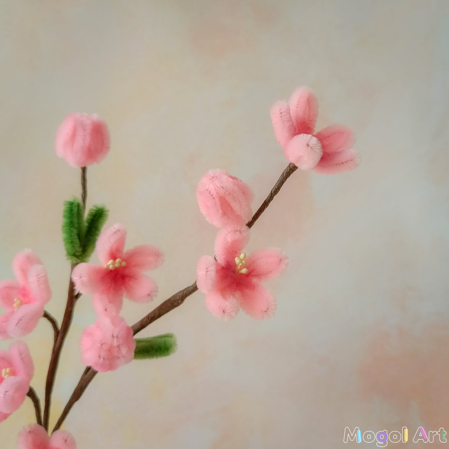 Peach Blossom