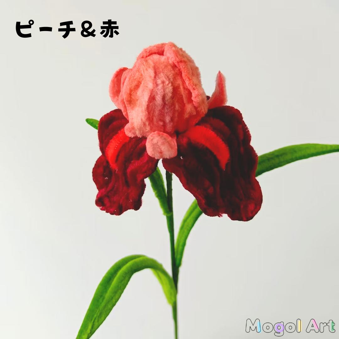 iris