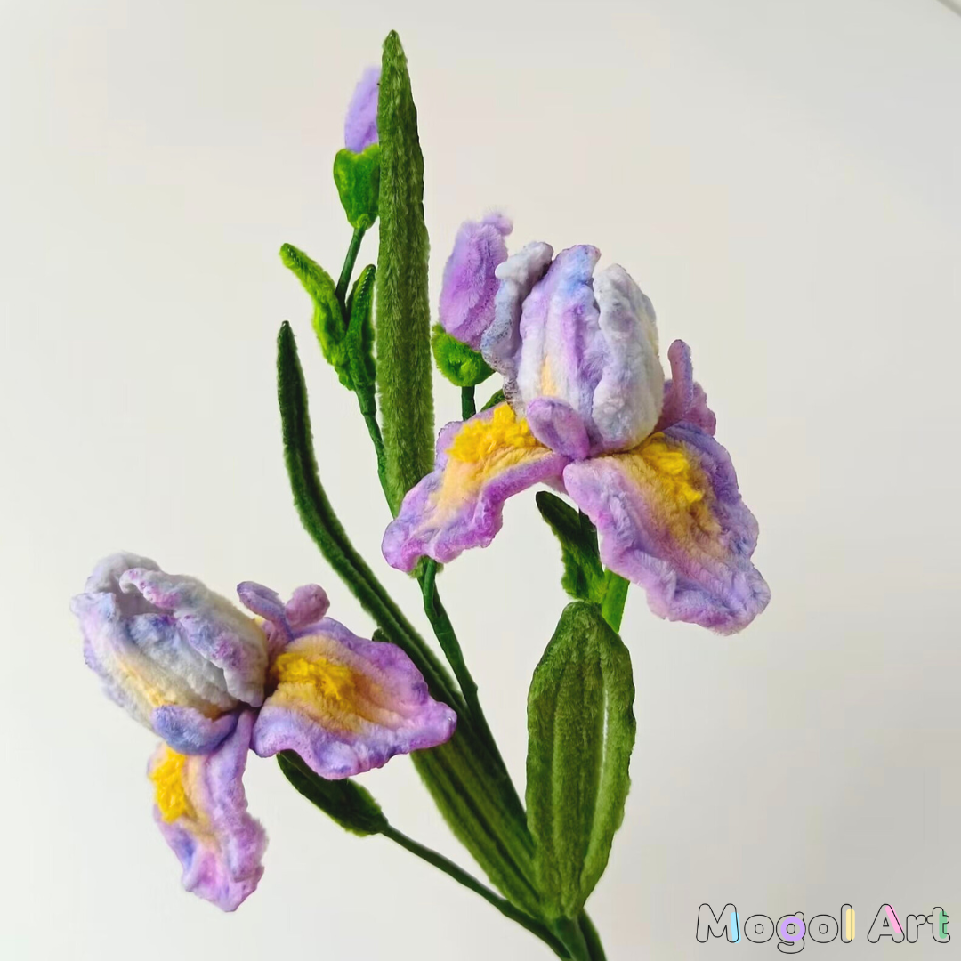 iris