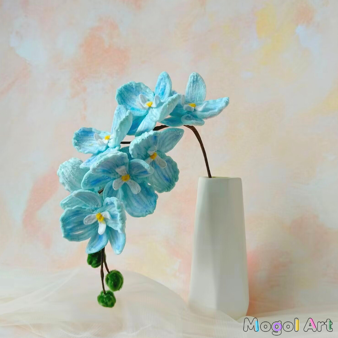 Phalaenopsis