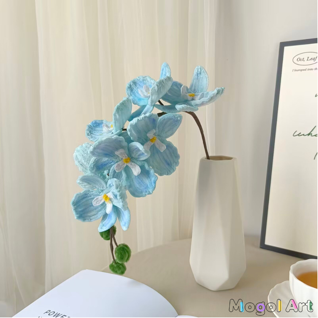 Phalaenopsis