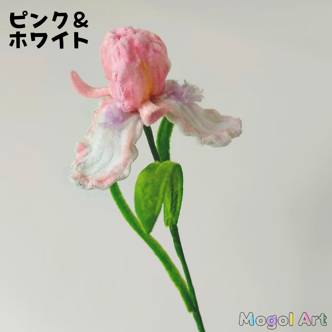 iris