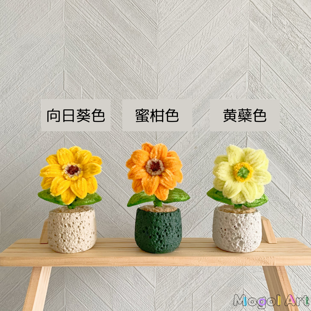 ミニ向日葵盆栽