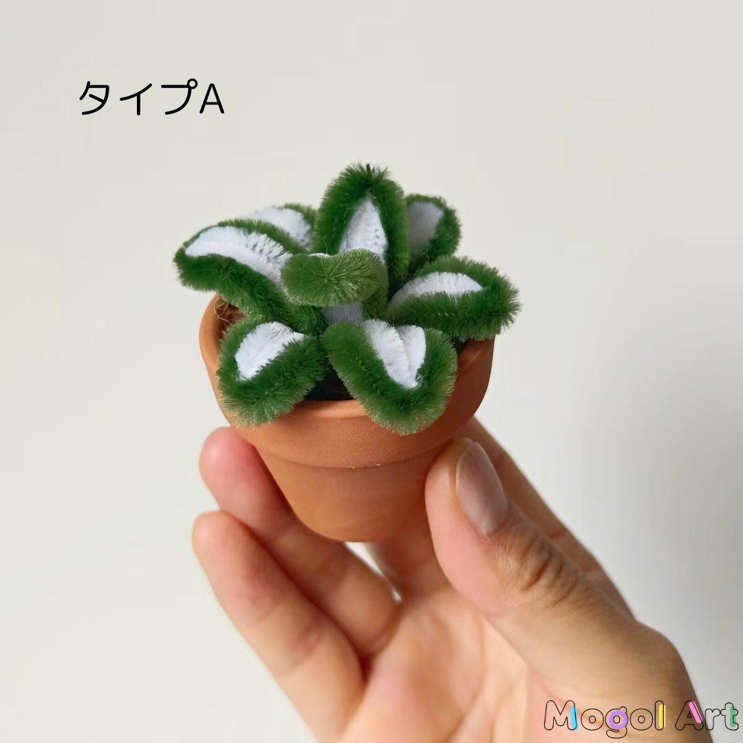 ミニスミレ盆栽