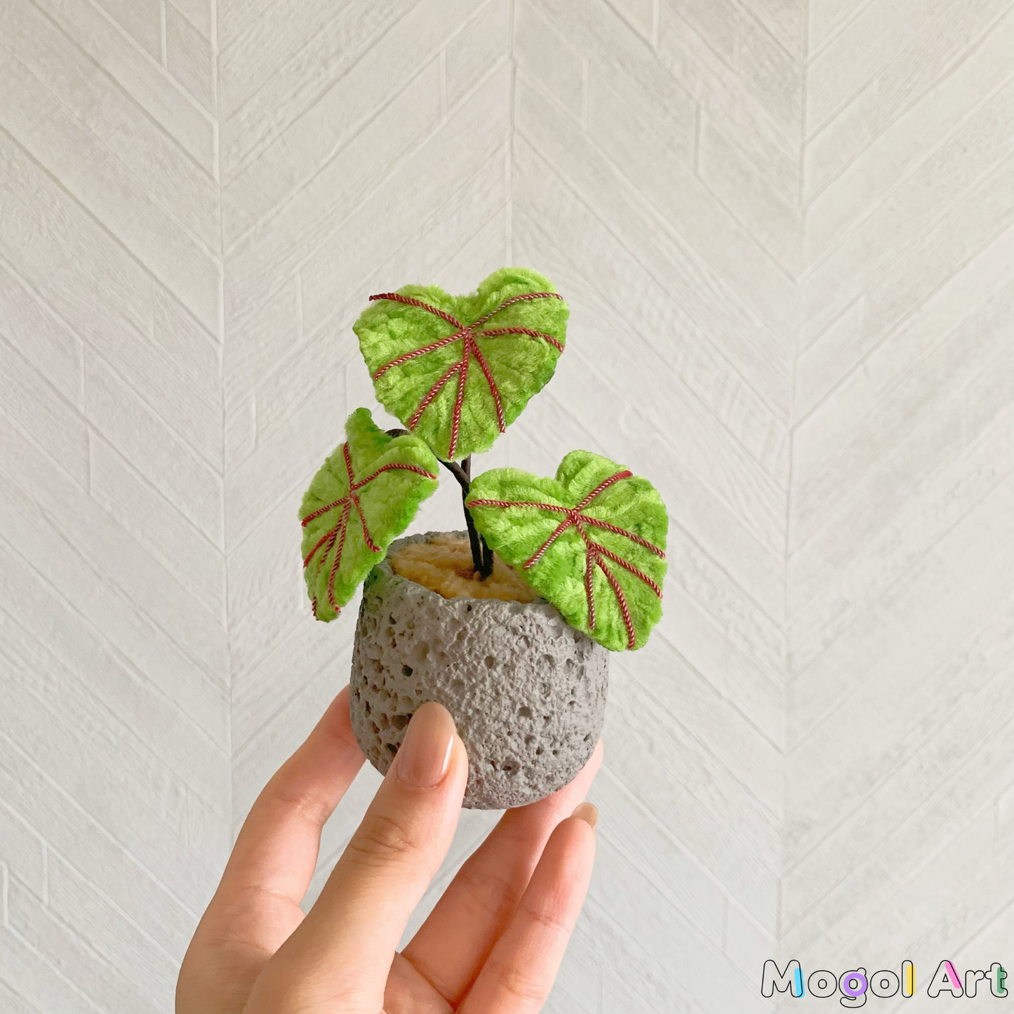 Caladium bonsai